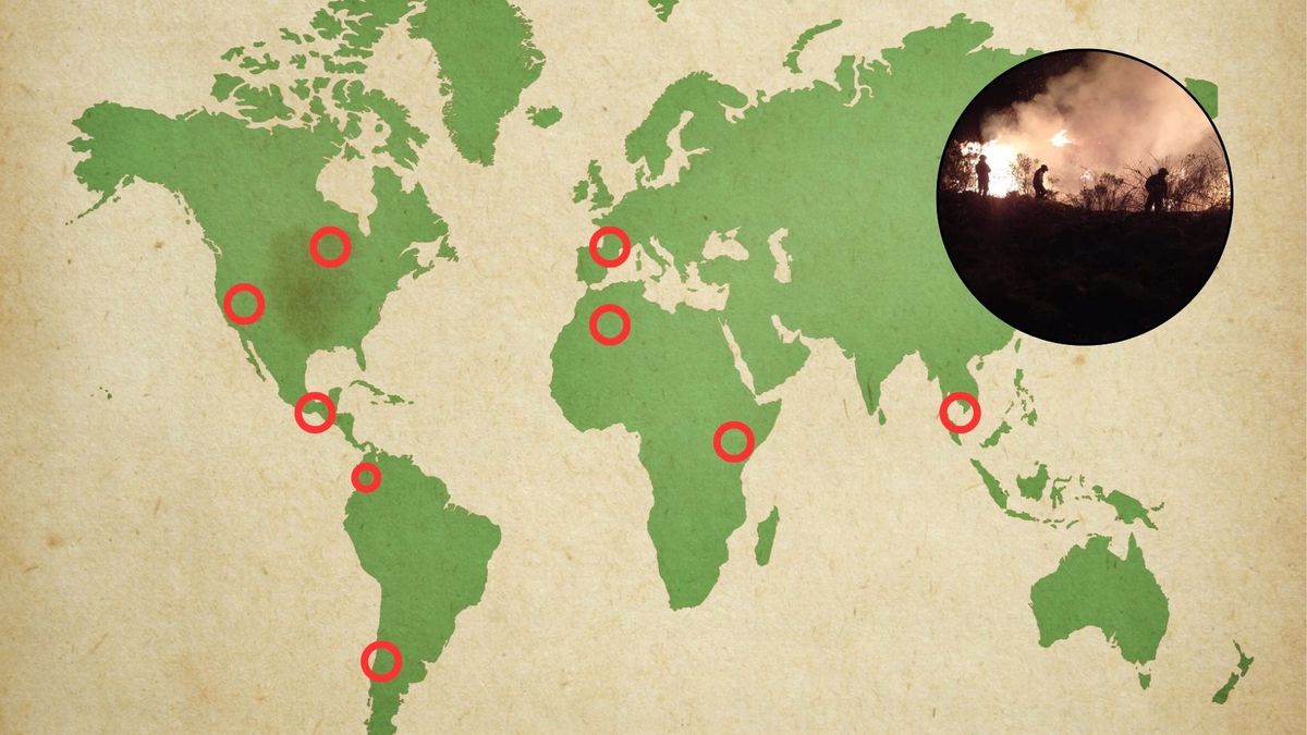 El mundo enfrenta una situación crítica por el fenómeno de El Niño.