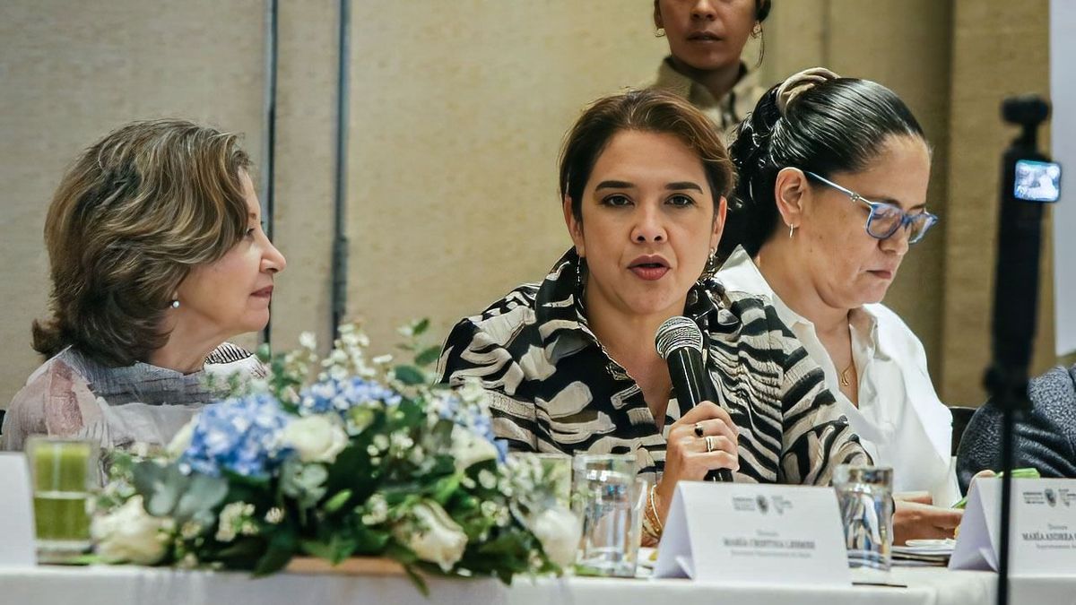 Superintendente Nacional de Salud.