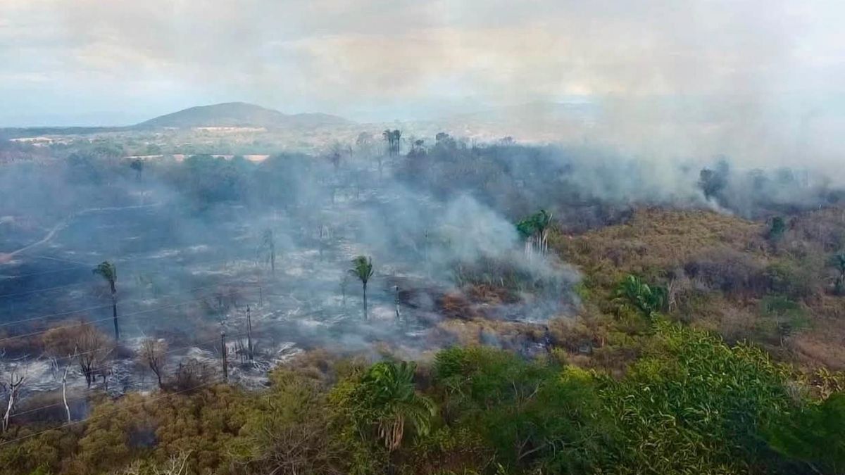 Emergencias en Coyaima | Incendios forestales | Tolima