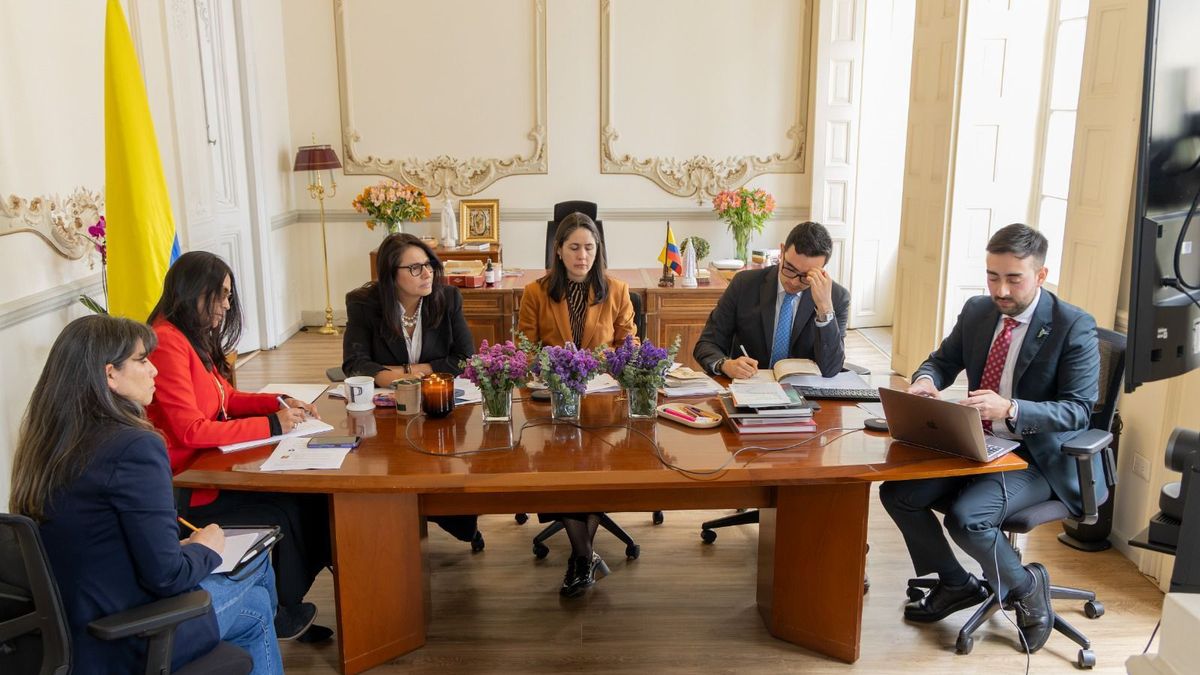 Ministerio de Cultura participó de este encuentro desde Bogotá, y la UNESCO desde París
