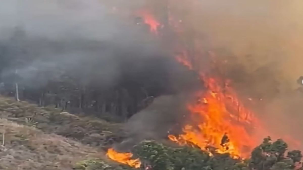 Incendio Forestal Villa de Leyva