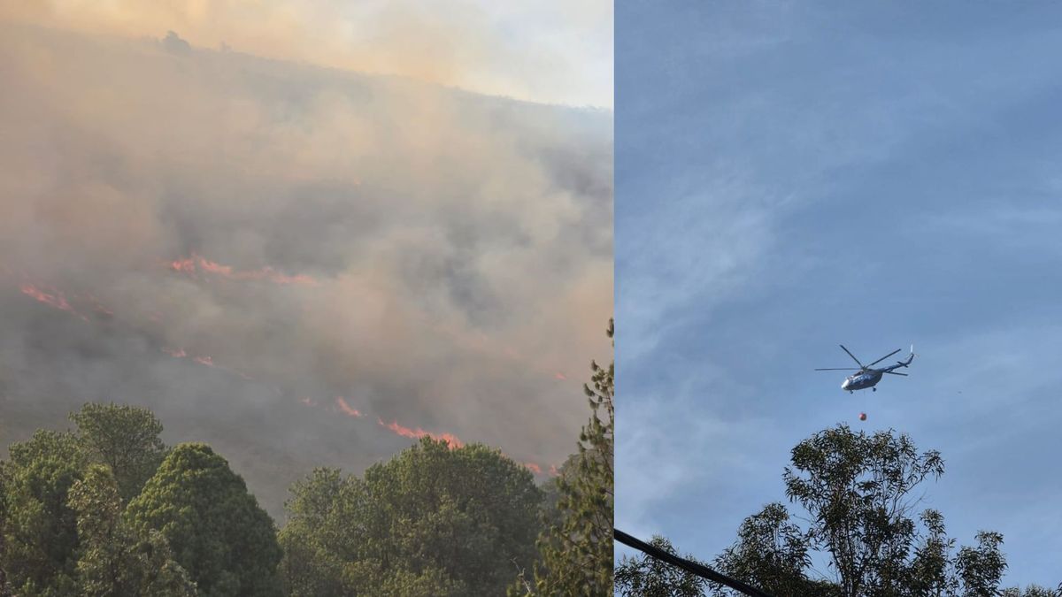 Incendio forestal en Villa de Leyva habría sido provocado