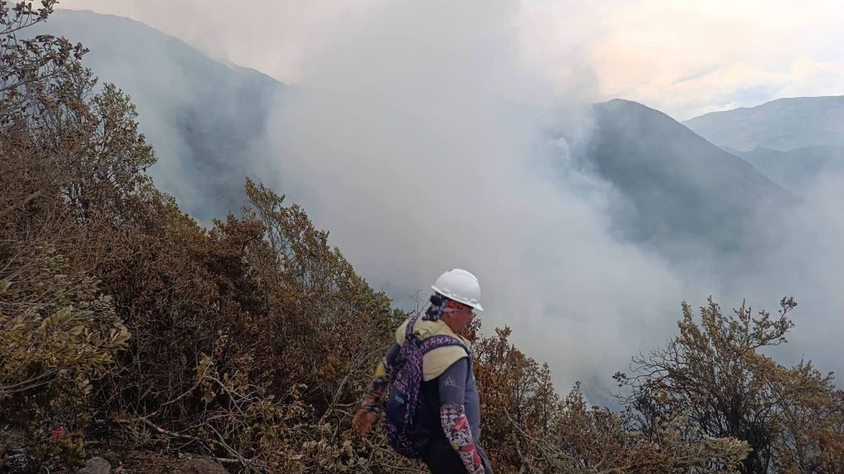 Incendio forestal en Buga, Valle
