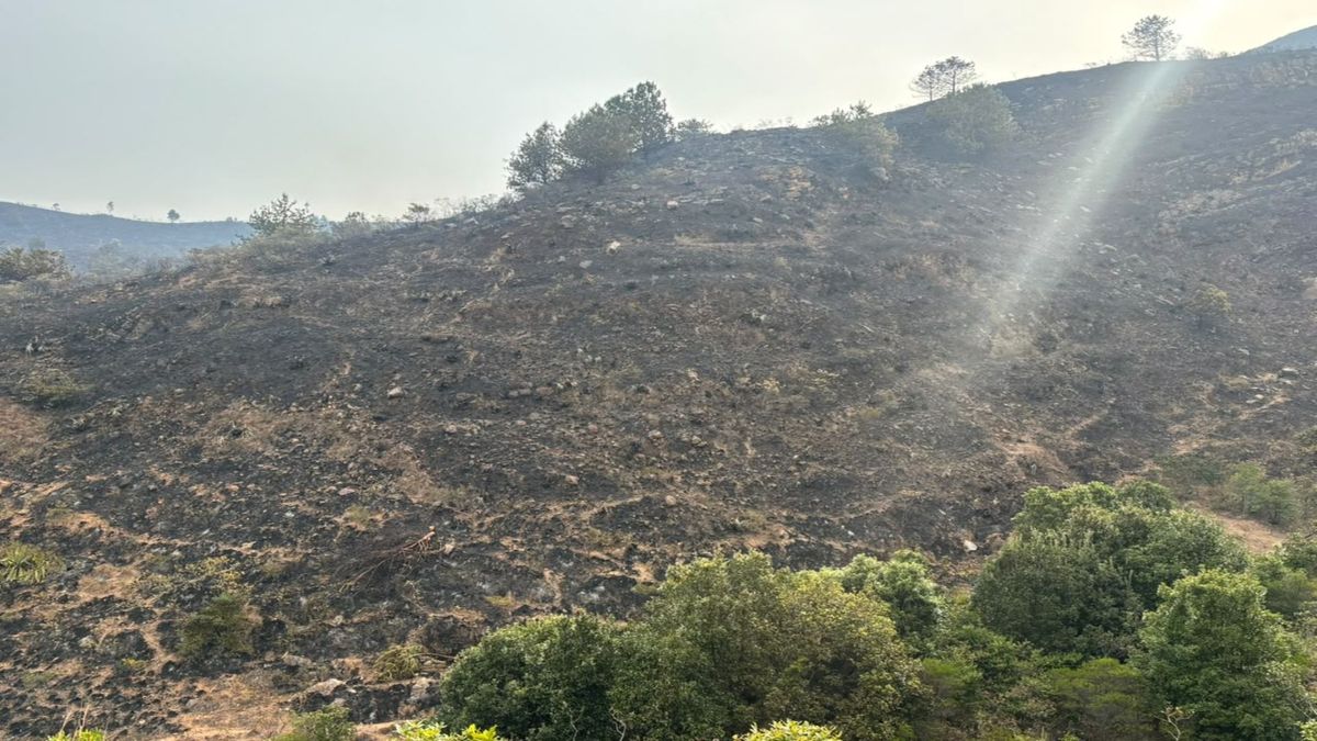 Ayudas humanitarias en Villa de Leyva