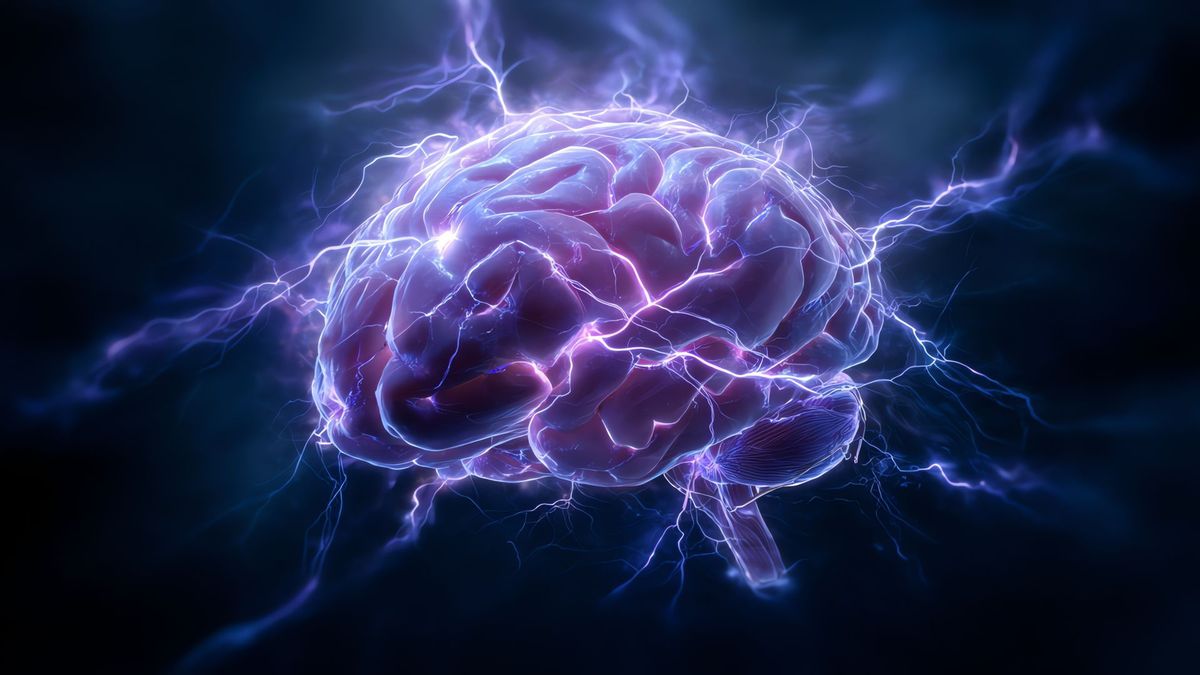 El cerebro humano, parece, aún ocultar muchos secretos.