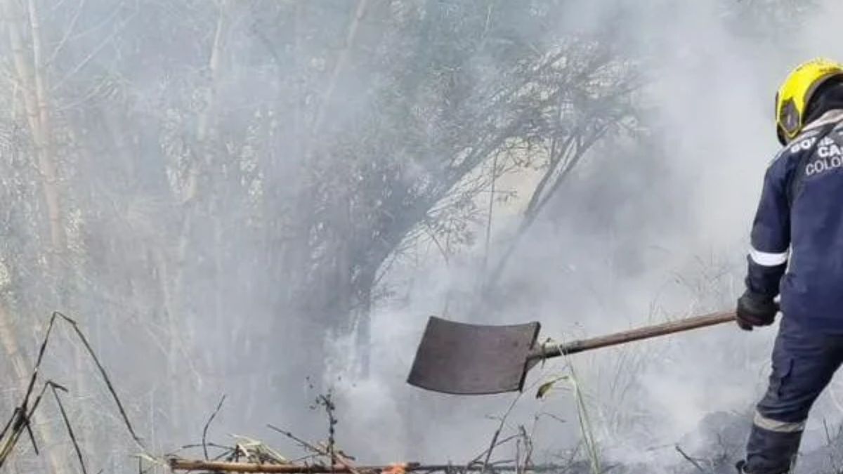 Incendio forestal- imagen de referencia