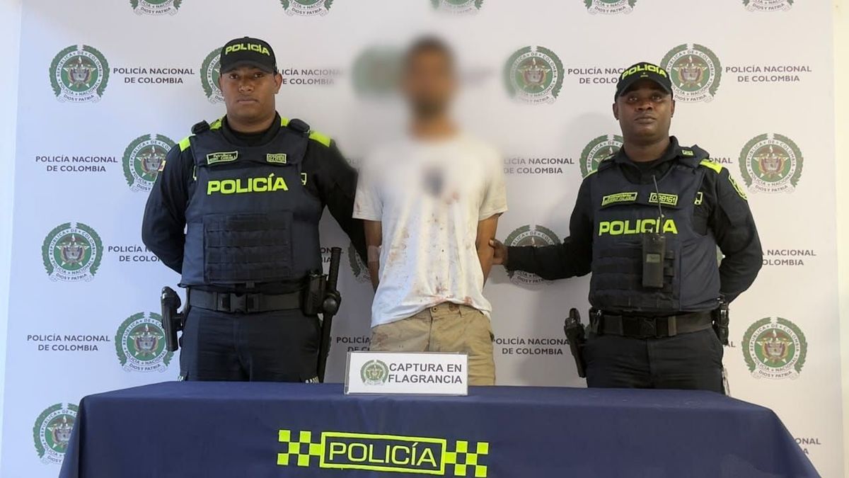 Capturado por asesinato de una perrita en Medellín