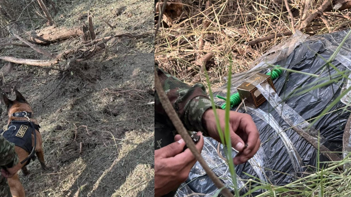 Explosivos del ELN en Santander.