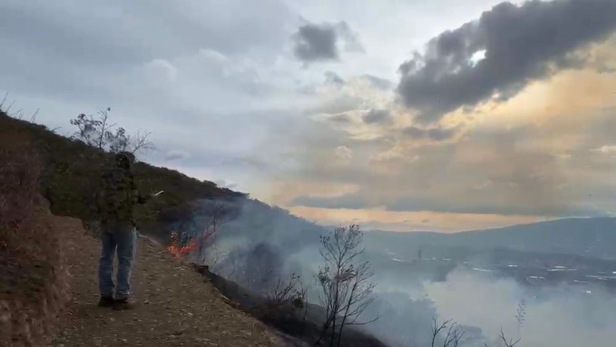 Catástrofe ambiental por incendio en el Santuario de Fauna Y Flora de Iguaque