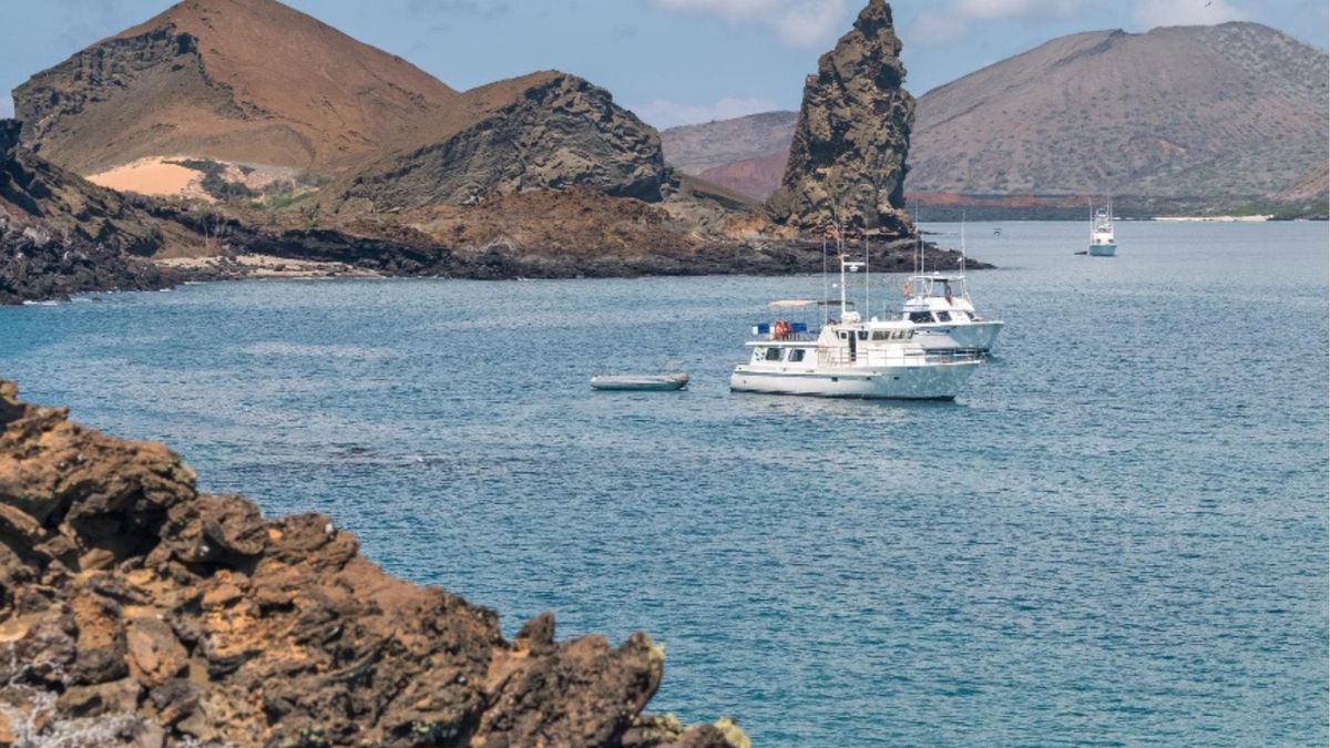 Las islas Galápagos, ubicadas a unos 1.000 kilómetros de la costa continental de Ecuador, tiene especies que no existen de forma natural en otros lugares del planeta.