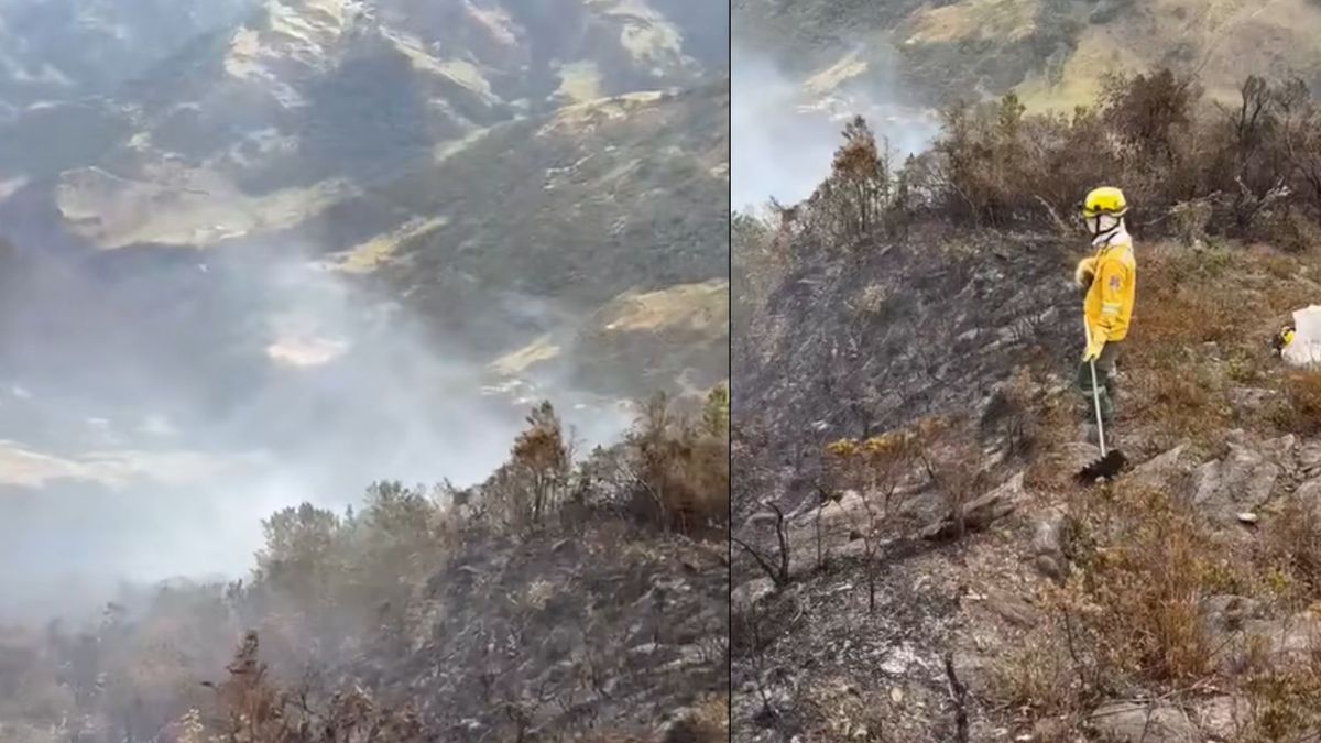 El incendio forestal ha afectado 1.500 hectáreas de bosque andino.