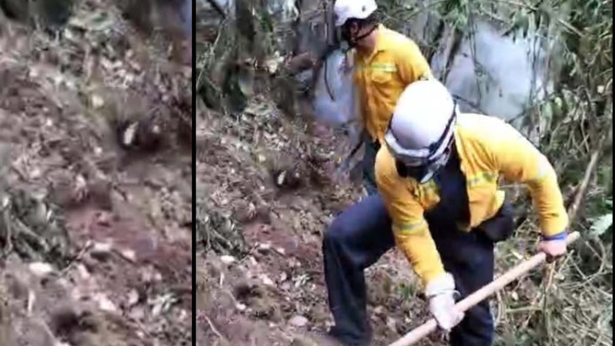 Bomberos trabajan a contrarreloj para atender el incendio ocurrido en el municipio de Buga, Valle del Cauca.