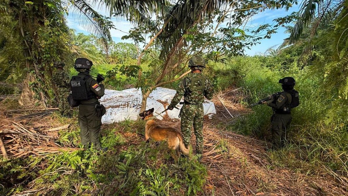 Siguen los enfrentamientos entre el Ejército Nacional y las disidencias de las Farc en El Tambo, Cauca.