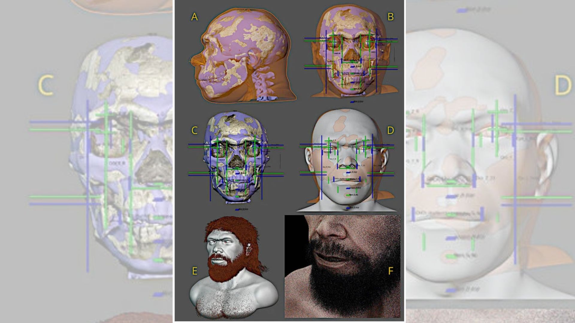 Así formaron el rostro del homínido más antiguo.