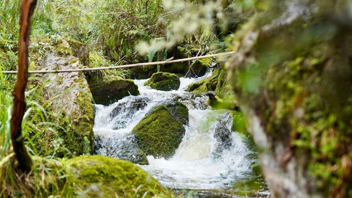 Alerta en Cundinamarca y Boyacá por la sequía y las limitaciones en plantas de tratamiento de agua