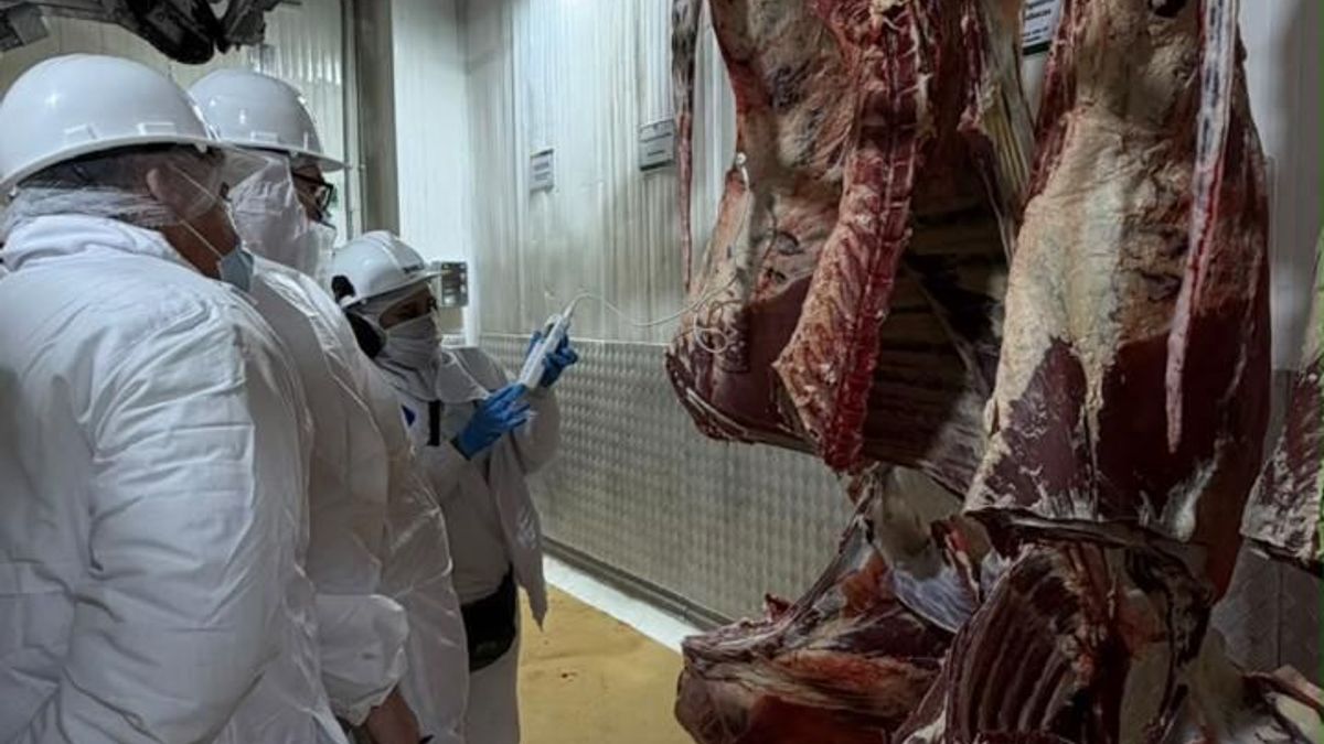 Carne