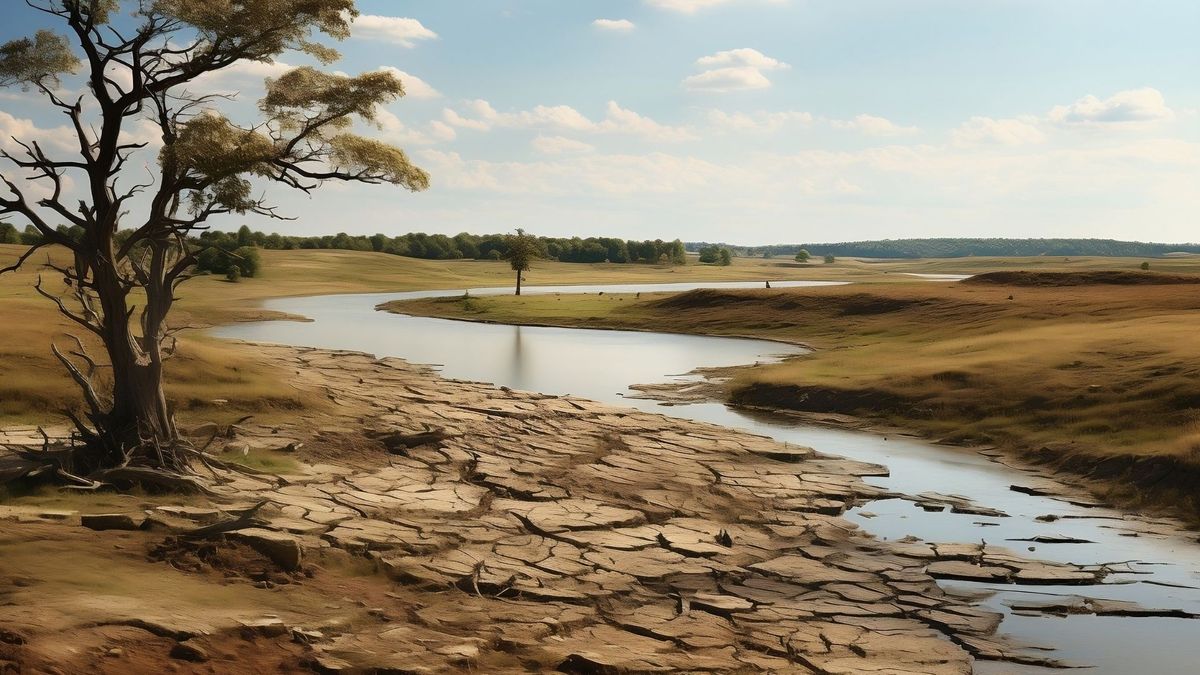 El fenómeno de El Niño está afectando a todas las regiones de Colombia.