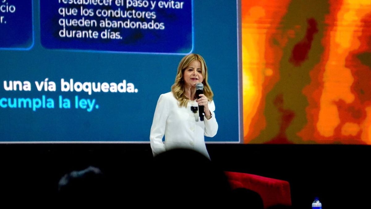 Declaraciones en Colfecar