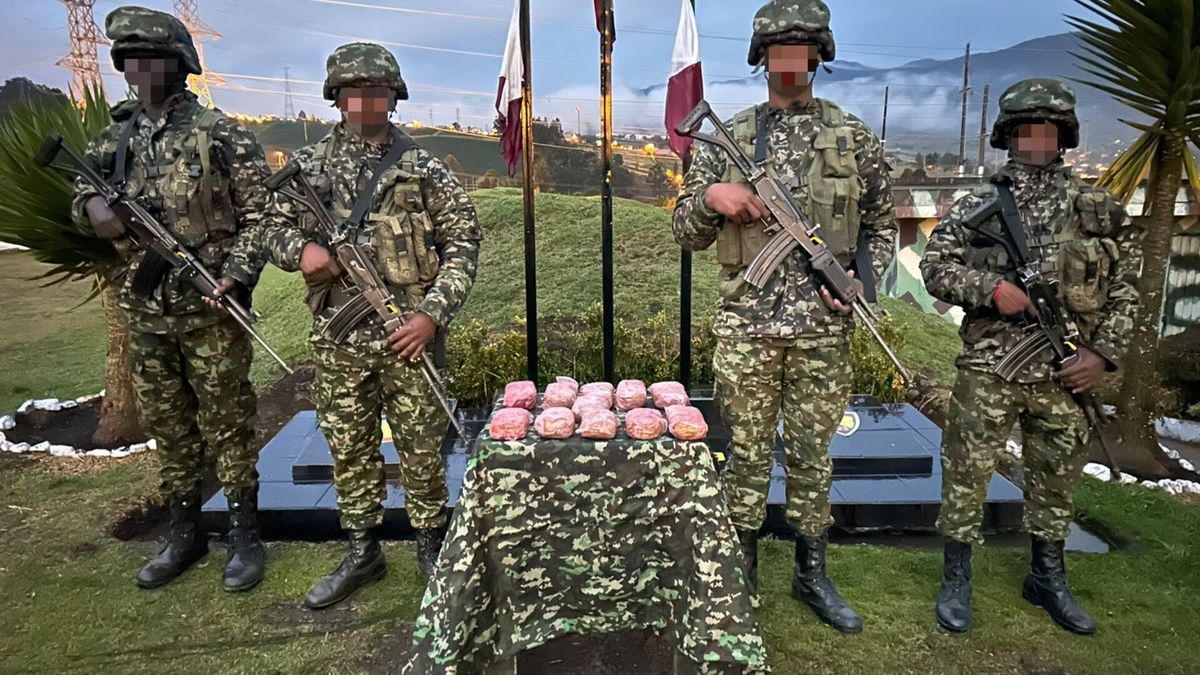 Un cargamento de morfina fue incautado por el Ejército en Pasto
