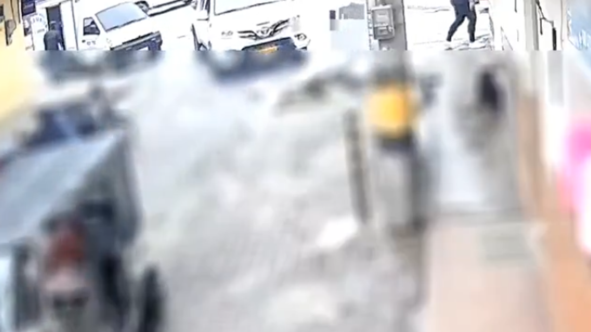 Carro que mató un perro en La Union