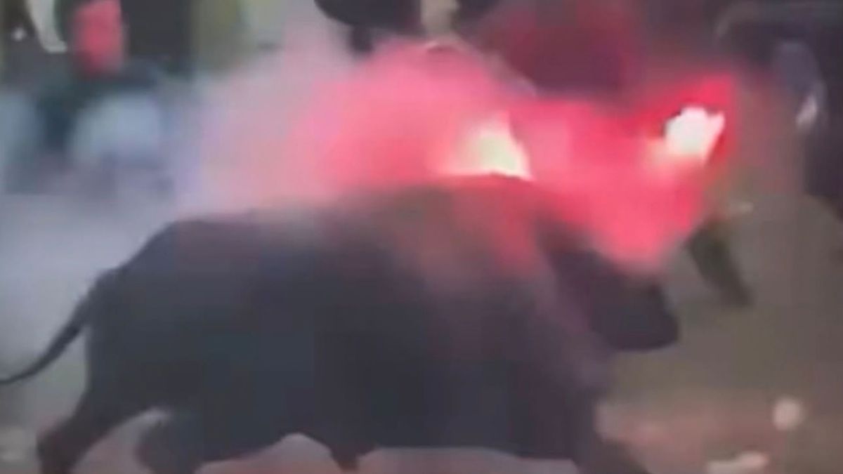 Prenden fuego a un toro en Sabanalarga, Atlántico