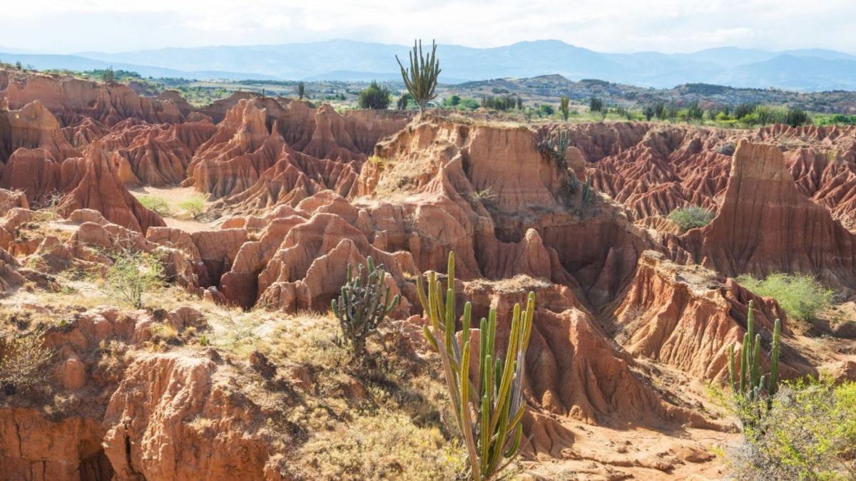 Para ir al Desierto de la Tatacoa, en Villavieja, Huila, se necesita un presupuesto que puede variar según el medio de transporte elegido desde Bogotá.
