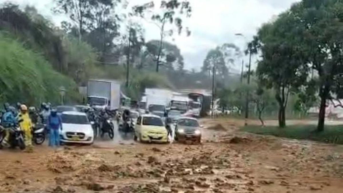 Lluvias dejan caída de árboles en Bello y más de 200 descargas eléctricas en el Valle de Aburrá
