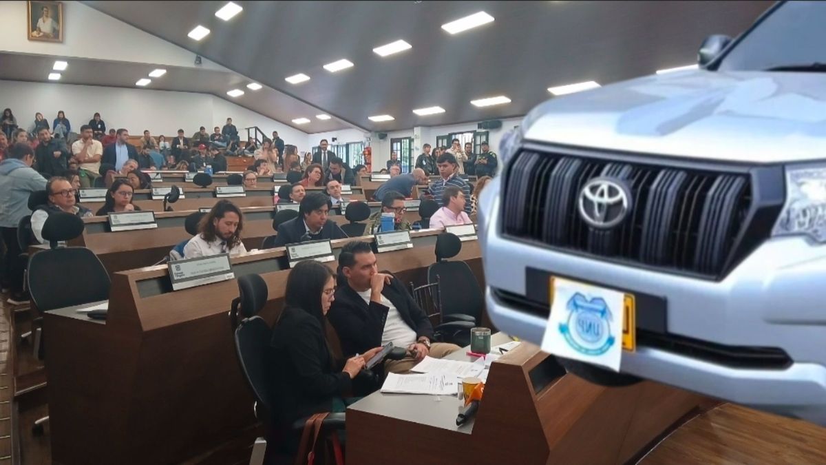 Concejo de Bogotá Contrato
