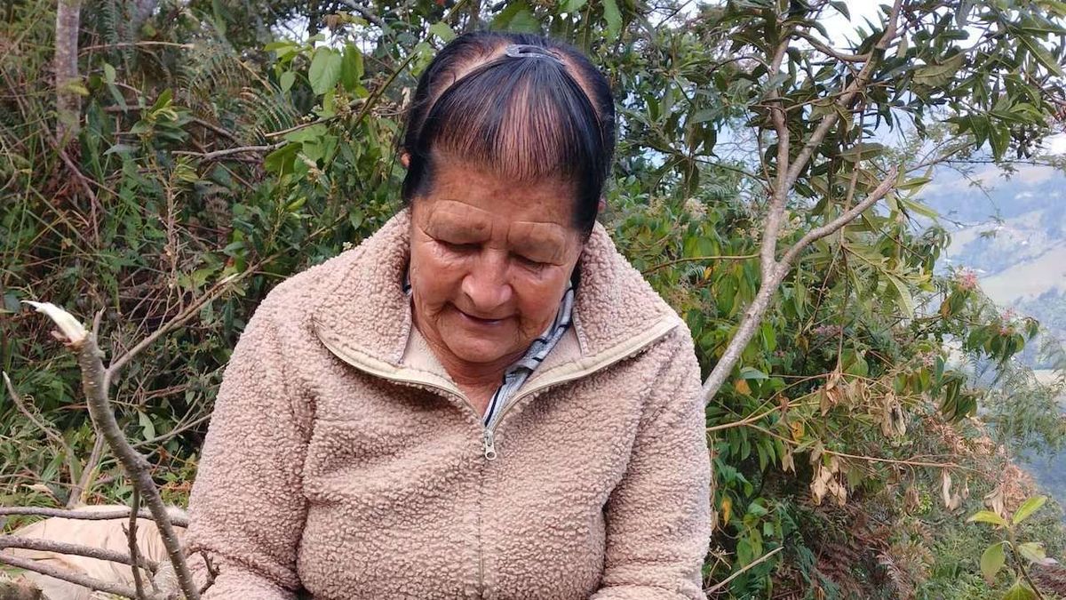Blanca Pardo