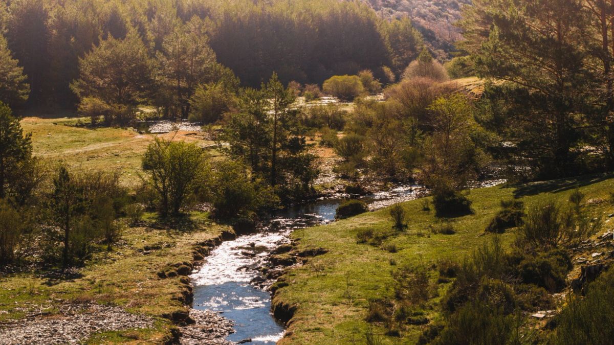 En el otoño se puede recorrer Europa y hacer caminatas por bosques y visitas a pueblos, actividades gastronómicas y hasta ser testigo de la producción de vino.