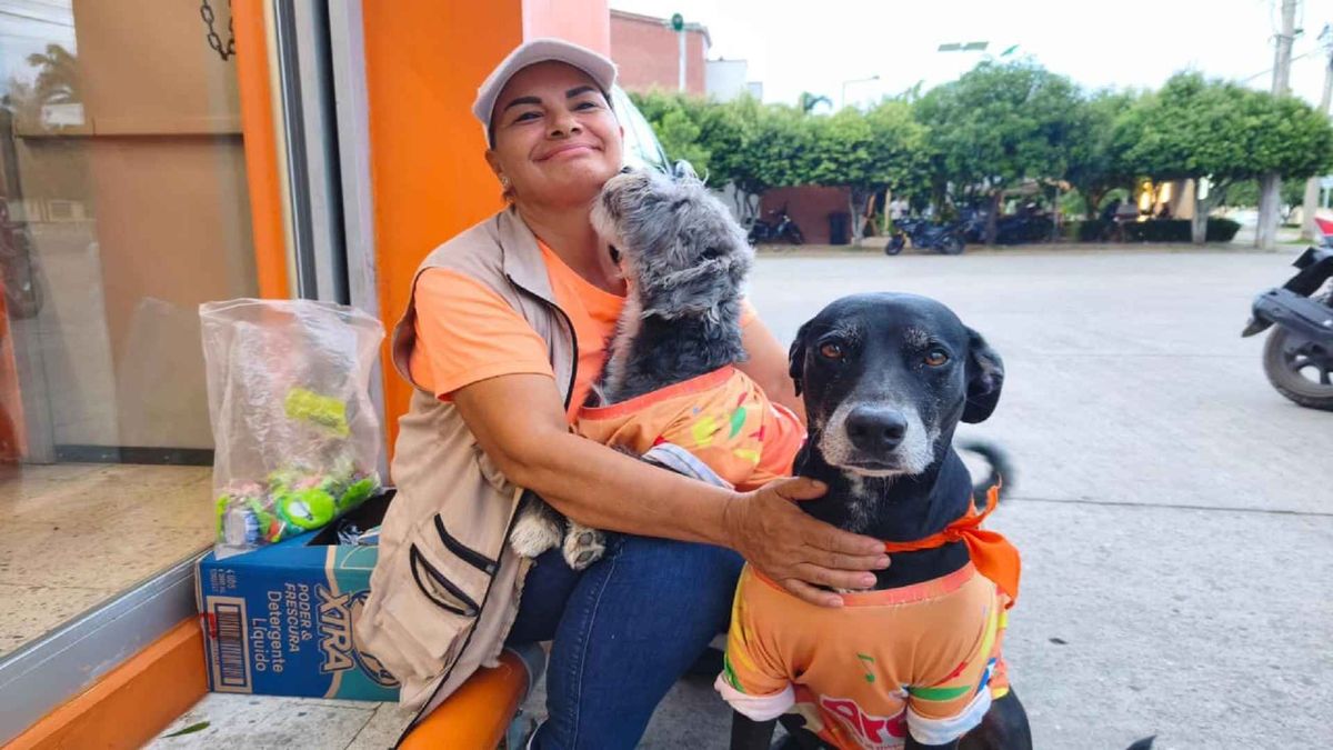 Perritos virales en Neiva