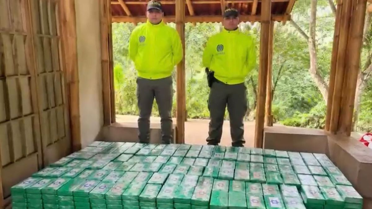 Droga decomisada en Santa Marta.