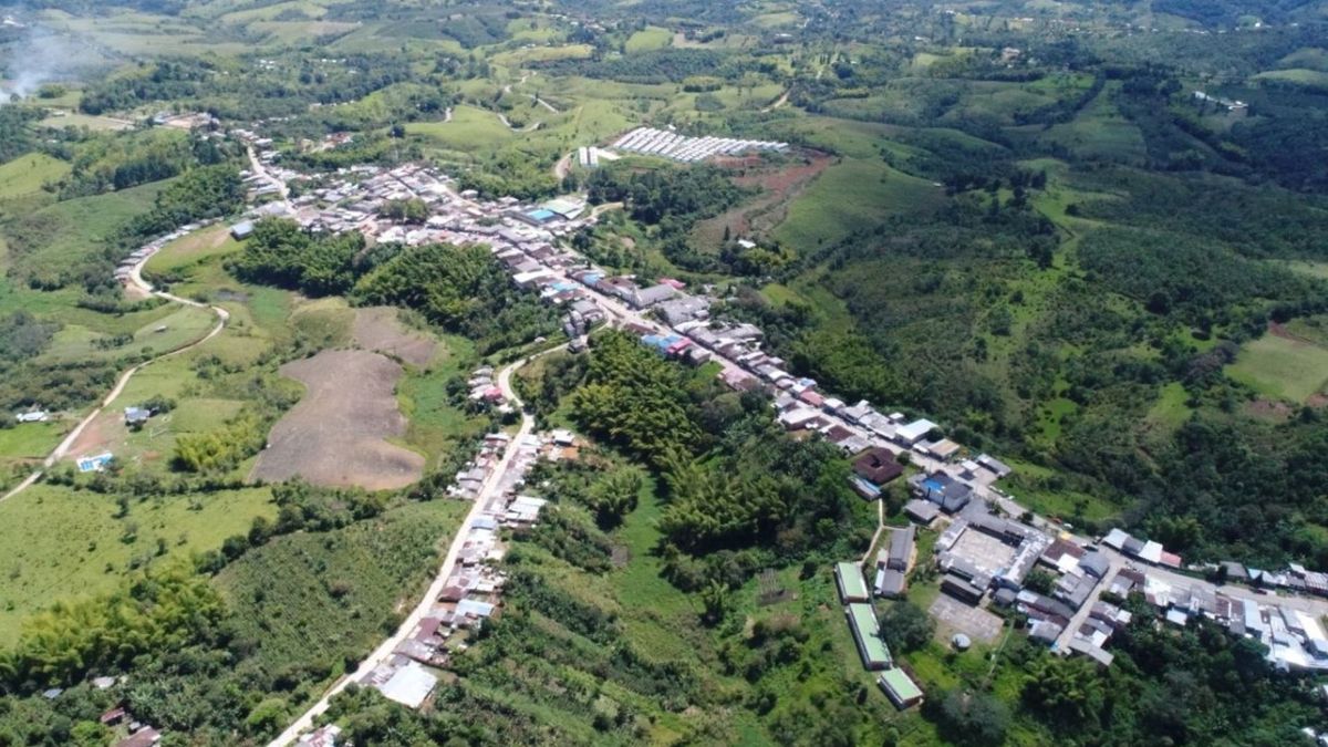 El especialista de protección de UNICEF, July Lienne Ayois, advirtió que 163 escuelas fueron atacadas o utilizadas por grupos armados en Colombia durante los últimos tres años, una situación que afecta el acceso a la educación y los derechos de miles de niños.