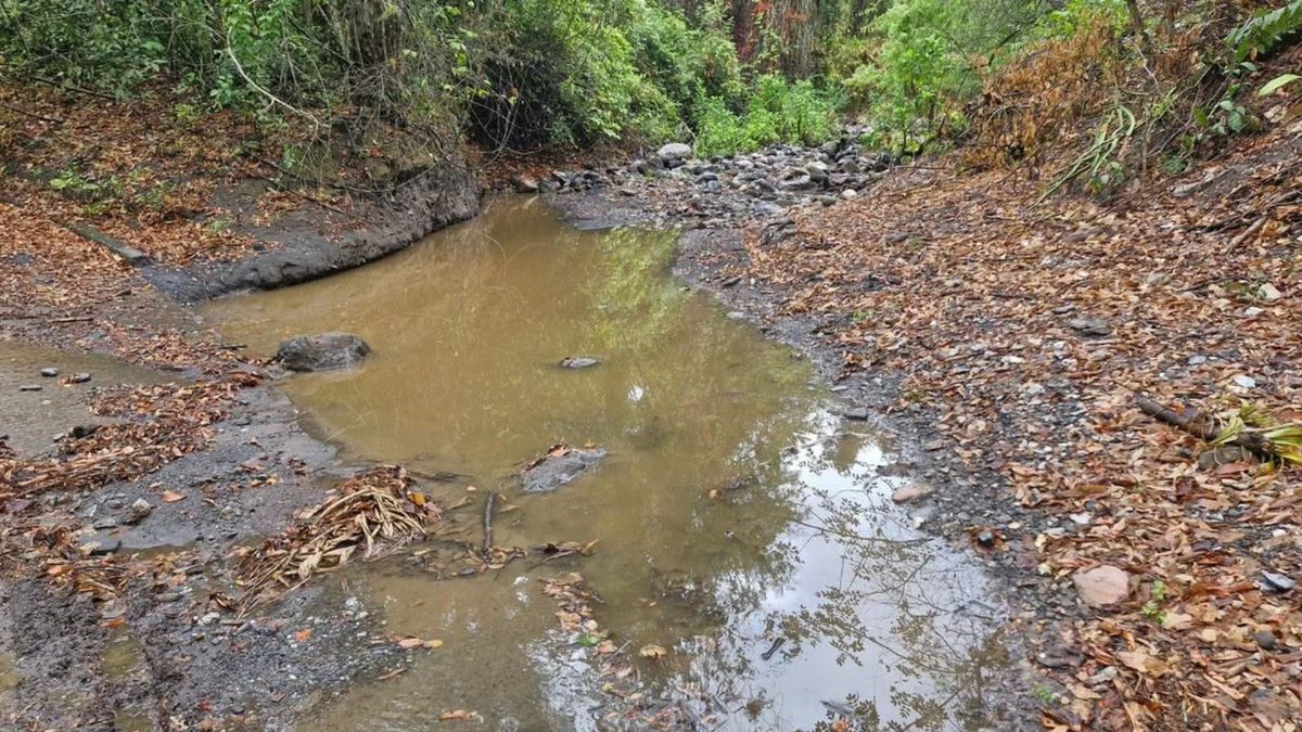 Las lluvias no ayudan a recuperar el problema de escases.