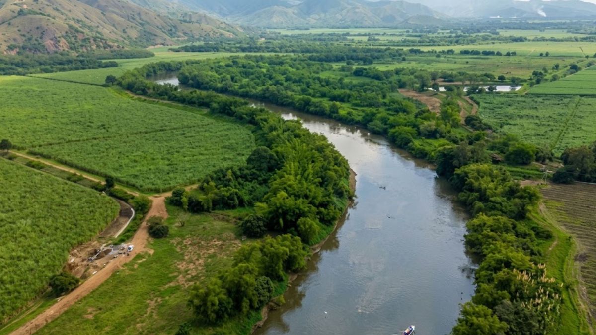 Medio ambiente del Valle del Cauca