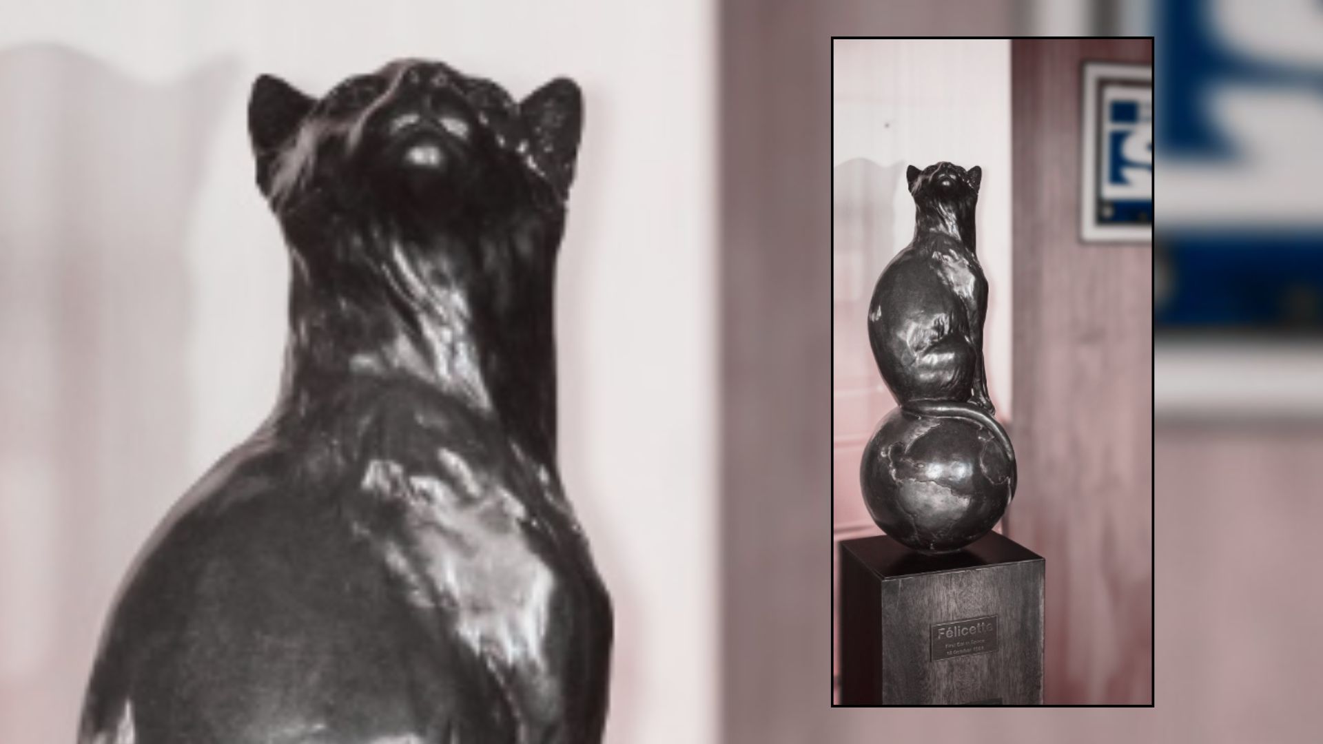 Félicette, la única gata en viajar al espacio, y sobrevivir.