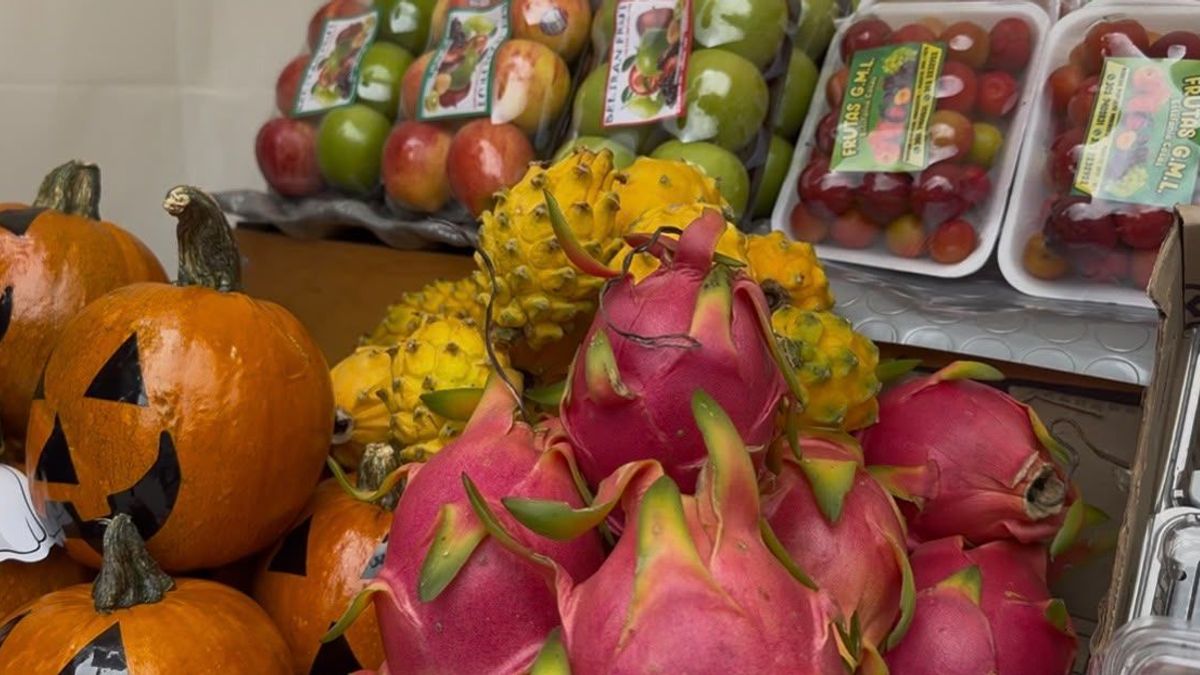 Primer Encuentro Internacional de Plazas de Mercado, en Corferias