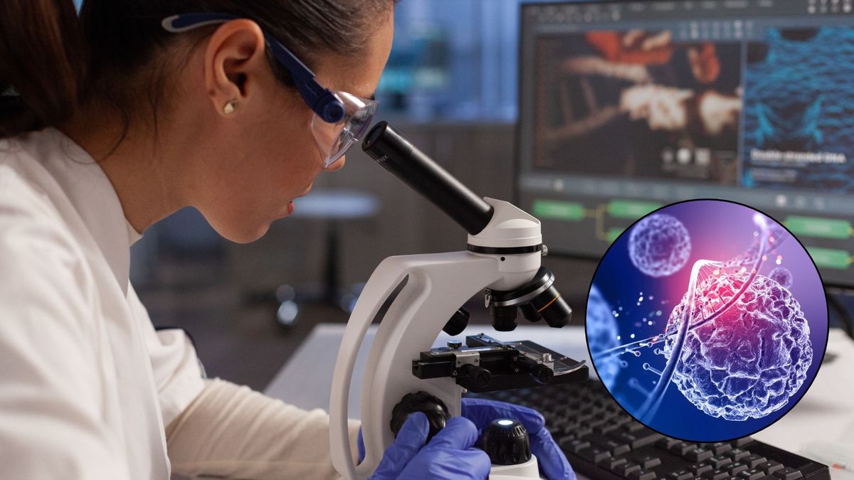 La ciencia intenta detener el envejecimiento; apuntan a las células.