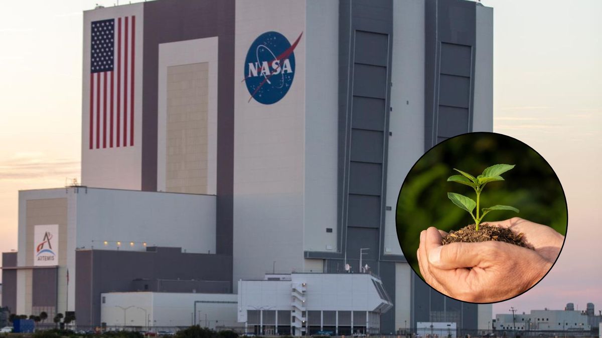 Los colegios pueden presentar una solicitud de alianza con la Nasa.