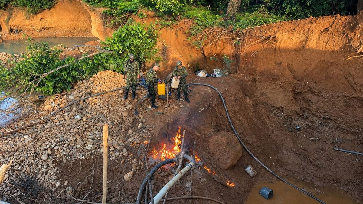 Ejército golpea al Clan del Golfo en Antioquia: hallan 16 cilindros y afectan minería ilegal por $281 millones