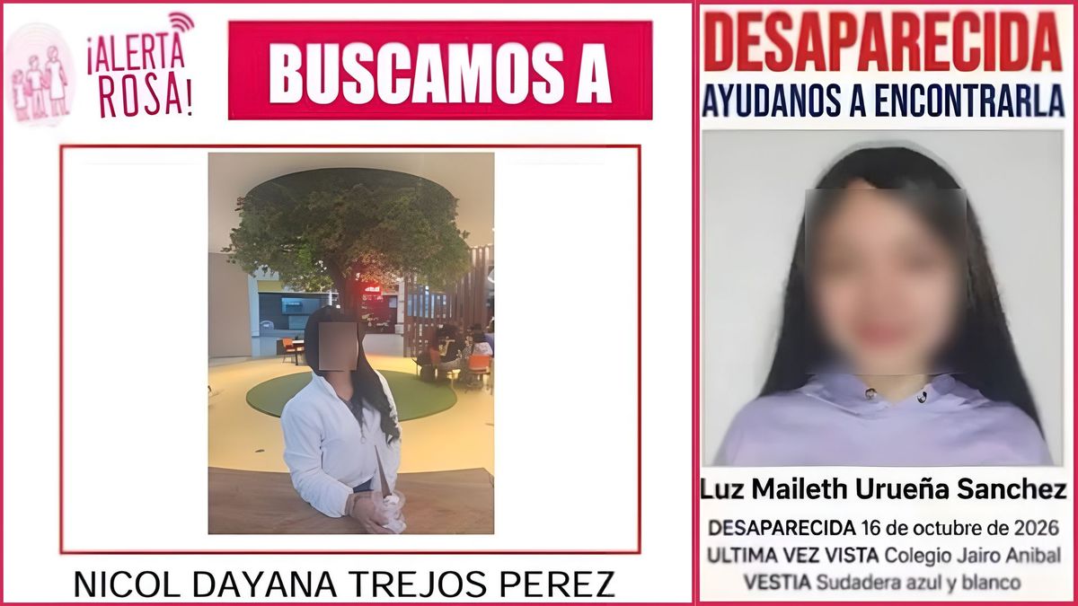 Un hombre las habría sacado del colegio: lo que se sabe sobre las dos niñas de 13 años desaparecidas en Kennedy