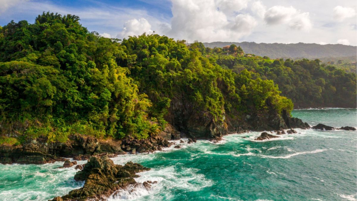 La isla de Yakushima, ubicada al sur de Japón, conserva bosques de cedros milenarios, montañas y una vegetación que cambia según la altitud.