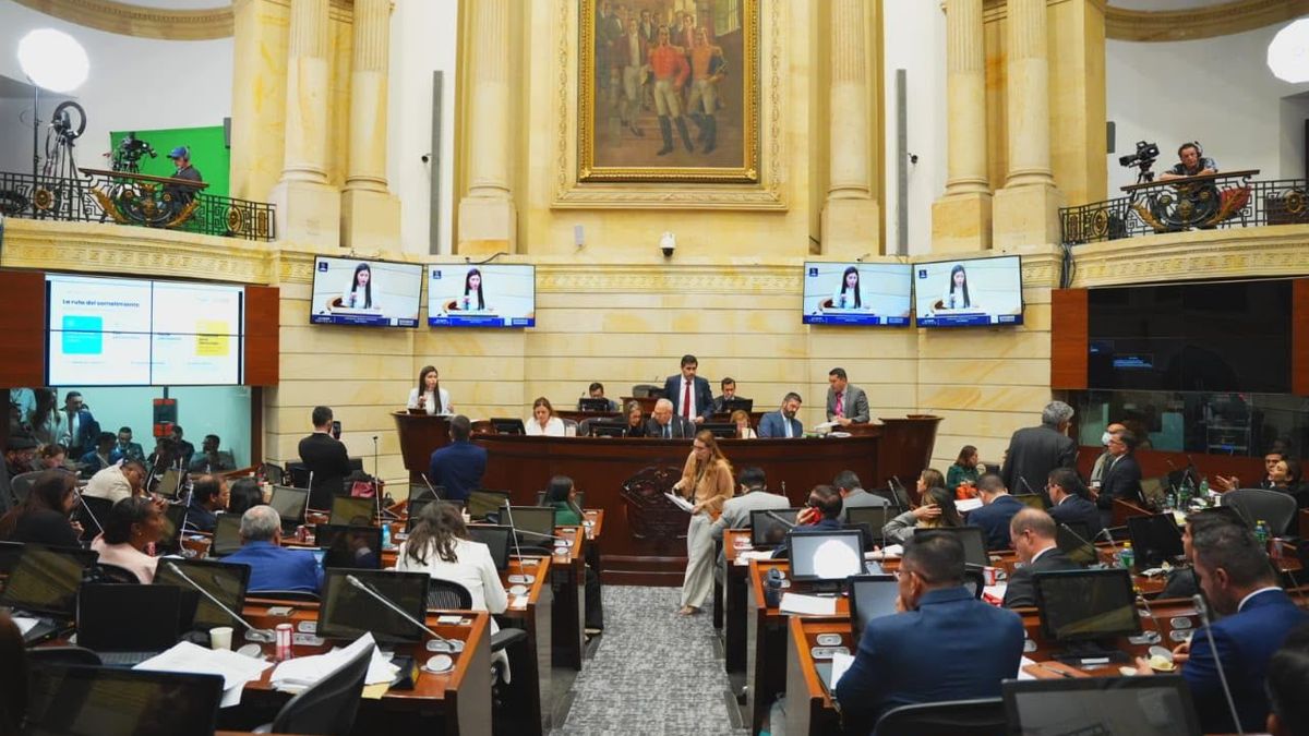 ley sometimiento conflicto armado paz total debate beneficios testaferros lavado activos