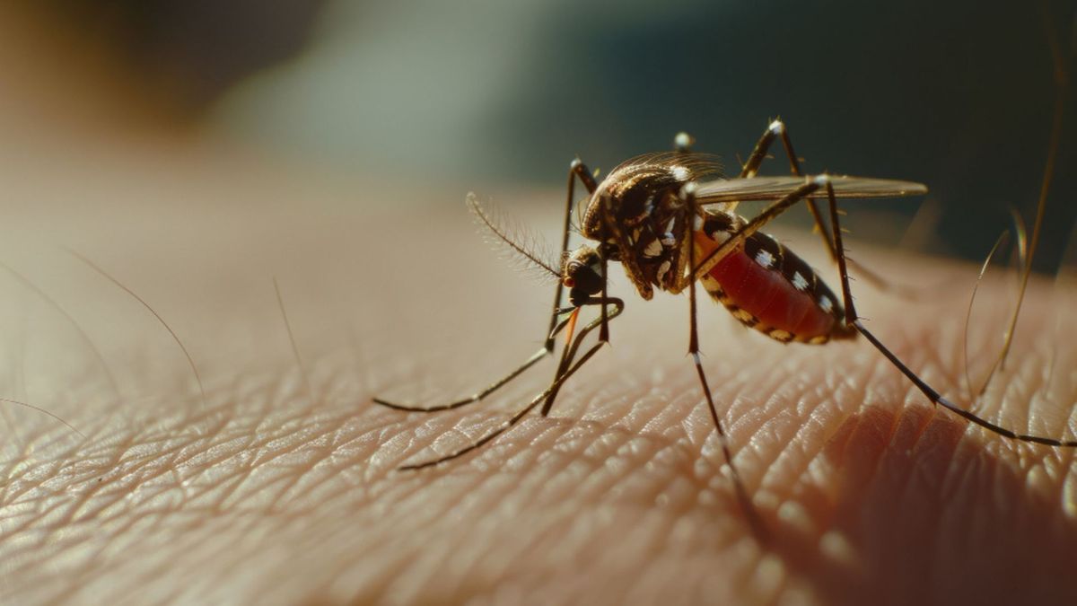 La fiebre por encima de los 38 grados puede ser una señal de dengue y requiere atención médica, especialmente en personas que viven o estuvieron en zonas donde circula el mosquito transmisor.