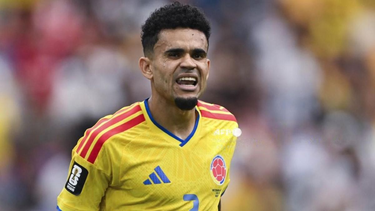Luis Díaz tuvo un decepcionante Mundial con la Selección Colombia