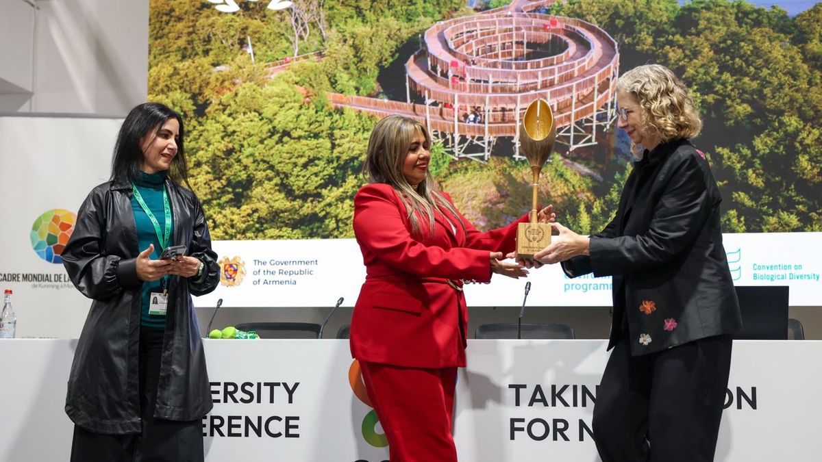Delegación de Colombia recibe premio por la restauración de la Ciénaga de Mallorquín durante la COP17 en Ereván, Armenia.