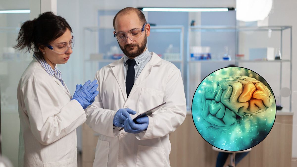 La ciencia está avanzando en la combinación de sistemas orgánicos y tecnológicos.