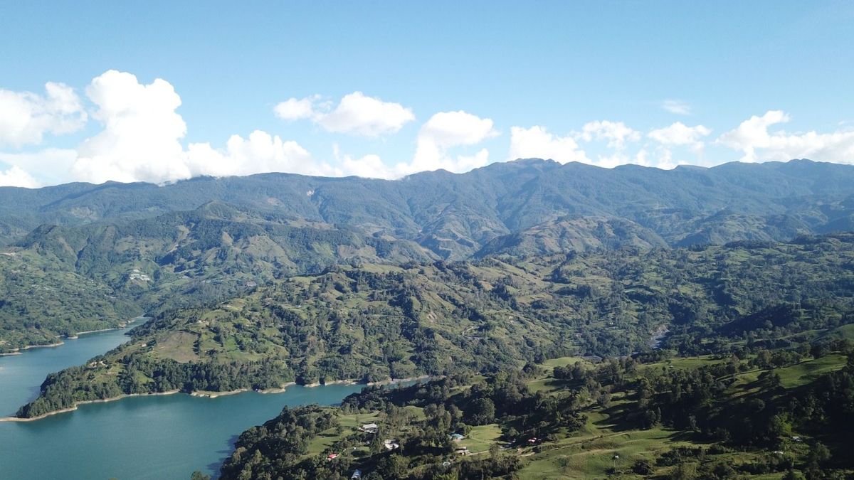 El área protegida está entre los municipios de Gachalá, Medina y Ubalá y tiene conexión ecológica con el Parque Nacional Natural Chingaza.
