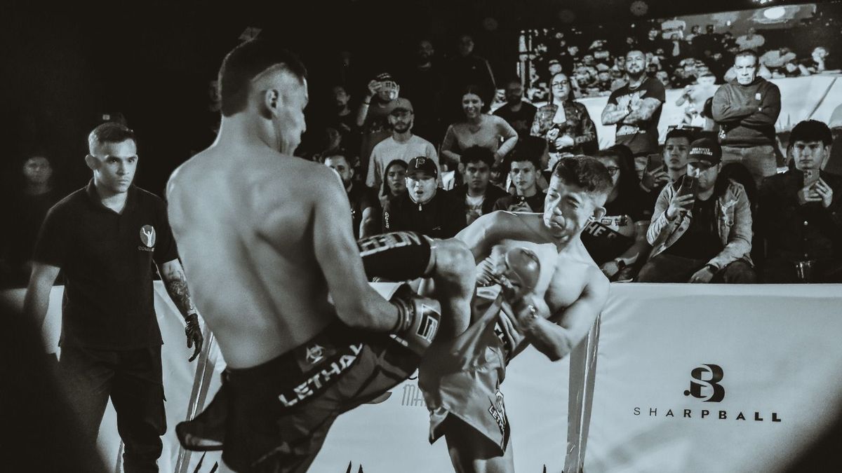 Artes Marciales Mixtas.
