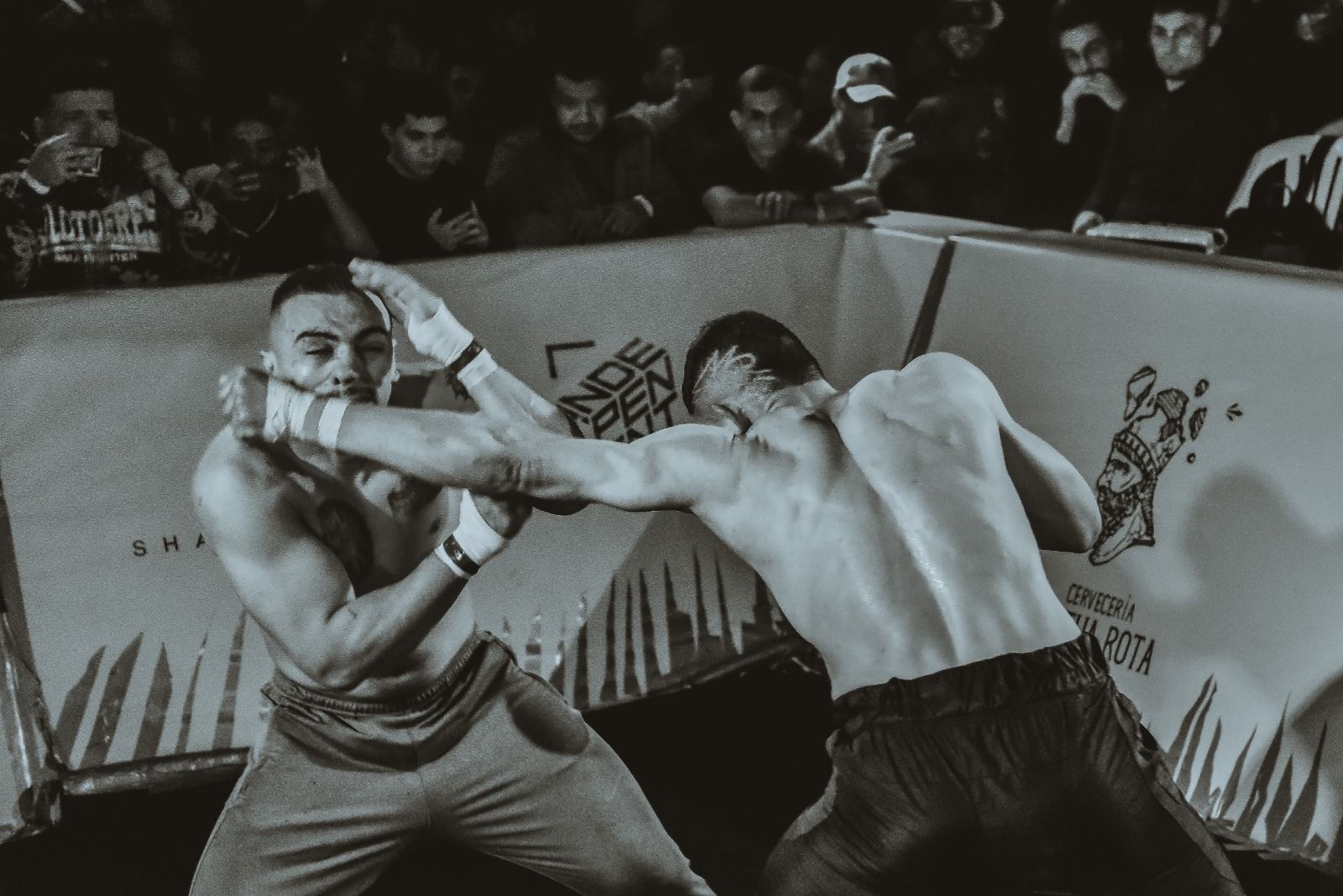 Artes Marciales Mixtas 2. 